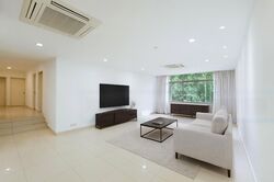 Leonie Hill (D9), Condominium #481083941